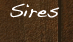 Sires